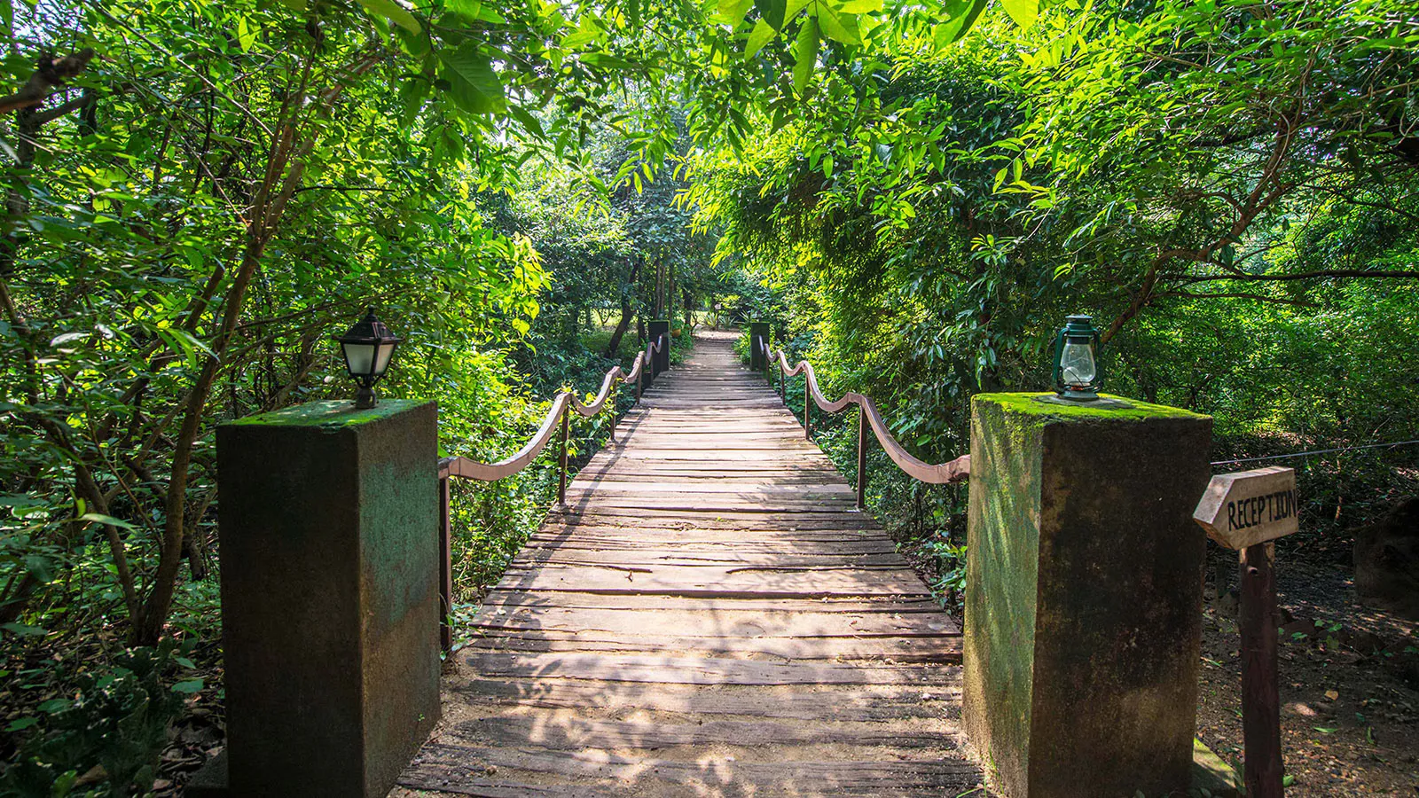 Mahua One - Tranquil Jungle Luxury in Pench National Park - View 2